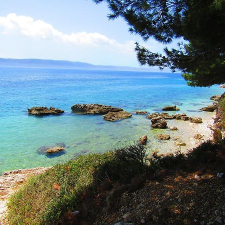 Victoria Cottage Camping Dole Blato (Makarska) Exterior foto